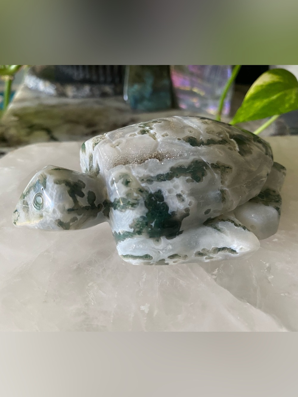 🐢✨ Moss Agate Turtle — 4.25” Hand-Carved Beauty ✨🐢